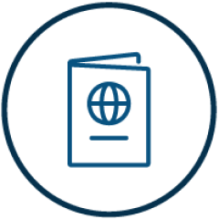 Download Report Icon